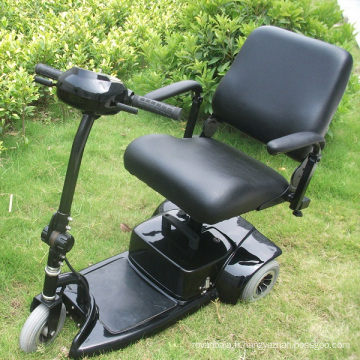 Scooter à moteur électrique à trois roues pour personnes âgées et handicapées (DL24250-1)